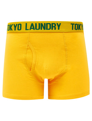 Allyn (2 Pack) Boxer Shorts Set in Artisan's Gold / Dark Green - Tokyo Laundry