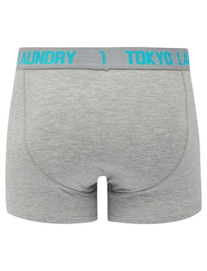 Allyn (2 Pack) Boxer Shorts Set in Blue Atoll / Light Grey Marl - Tokyo Laundry