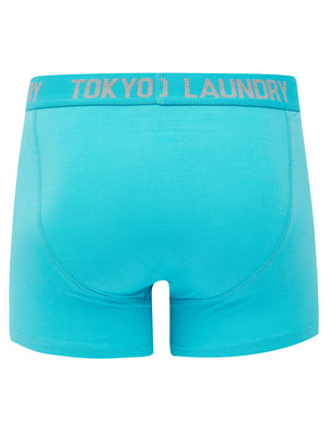 Allyn (2 Pack) Boxer Shorts Set in Blue Atoll / Light Grey Marl - Tokyo Laundry
