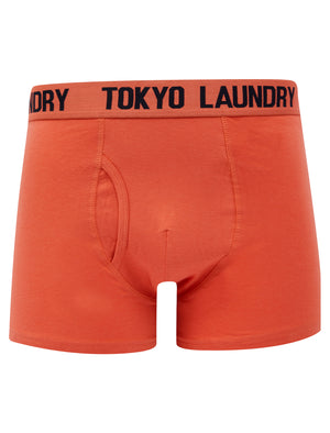 Allyn (2 Pack) Boxer Shorts Set in Sky Captain Navy / Faded Rose - Tokyo Laundry