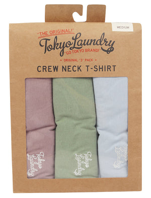 Essentials (3 Pack) Crew Neck Cotton T-Shirts In Ash Mauve / Green Bay / Kentucky Blue - Tokyo Laundry