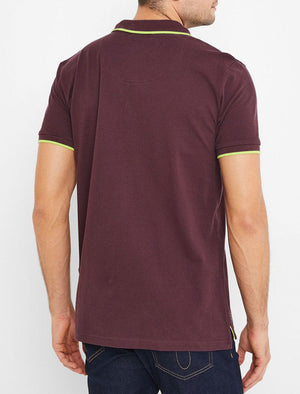 Talibu Cotton Pique Polo Shirt with Neon Tipping In Plum Perfect - Tokyo Laundry