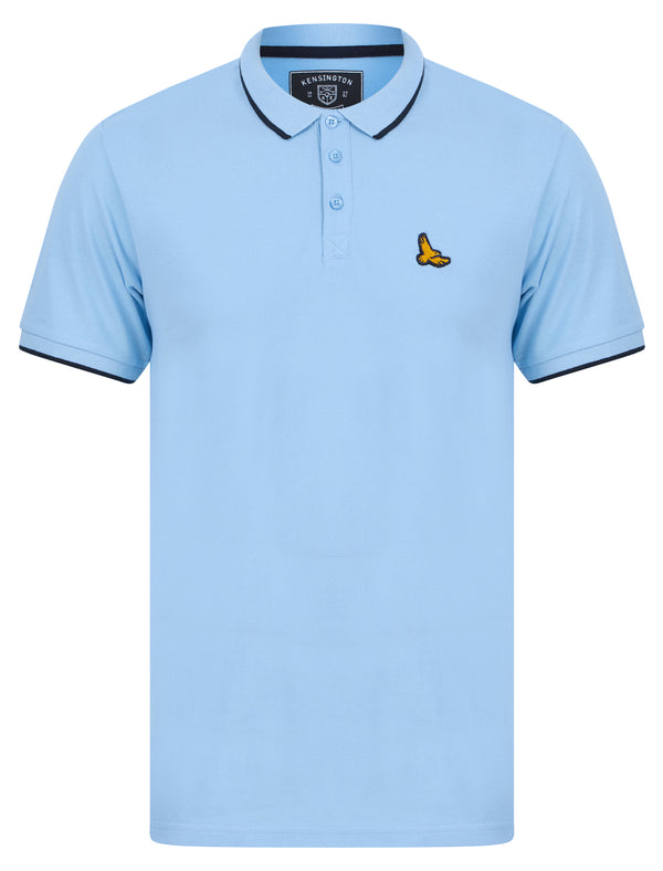 Stenhouse Cotton Pique Polo Shirt in Blue Bell - Kensington Eastside
