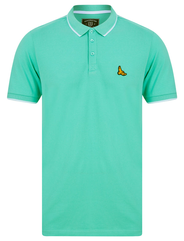 Stenhouse Cotton Pique Polo Shirt in Dusty Jade Green - Kensington Eastside