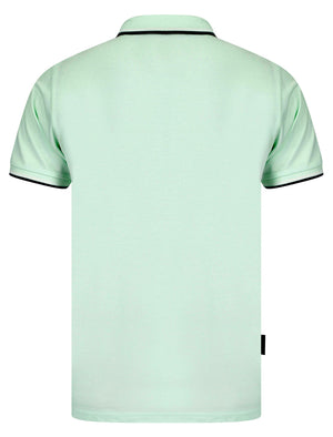 Kiso Cotton Pique Polo Shirt in Bay Green - Kensington Eastside