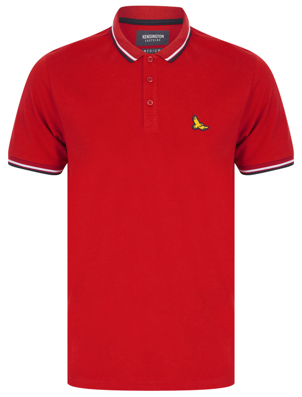 Trundle Cotton Pique Polo Shirt with Tipping in Scooter Red - Kensington Eastside
