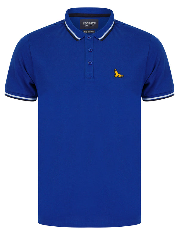 Trundle Cotton Pique Polo Shirt with Tipping in True Blue - Kensington Eastside