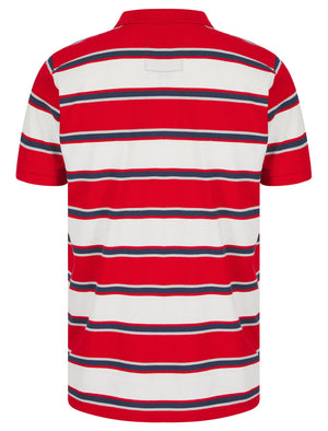 Rilo Striped Cotton Pique Polo Shirt in Barados Cherry - Tokyo Laundry