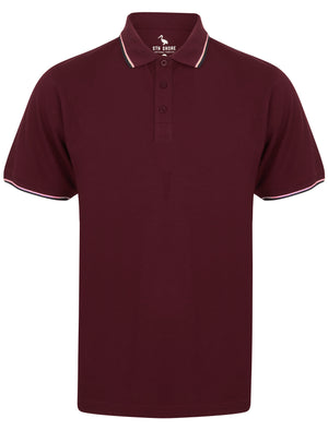 Kayan Basic Cotton Pique Polo Shirt With Tipping in Windsor Wine - South Shore