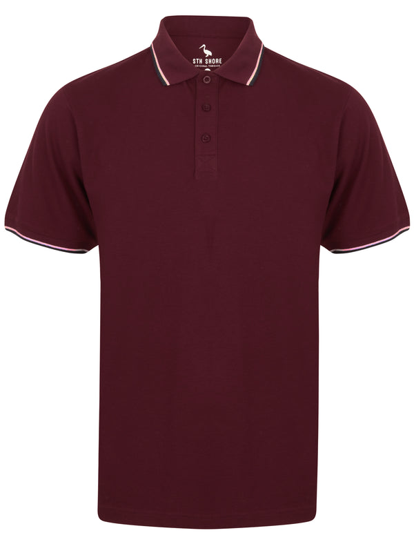 Osten Basic Cotton Pique Polo Shirt With Tipping in Windsor Wine - South Shore