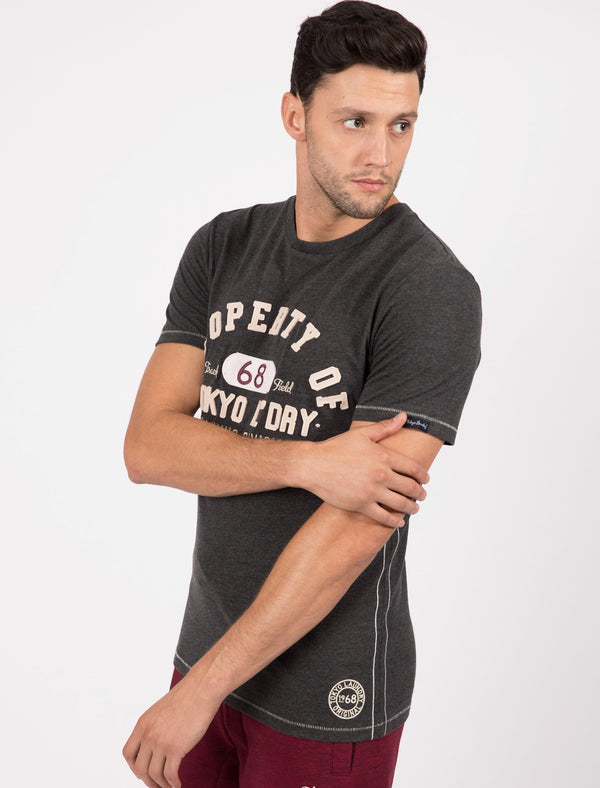 Louisburg Applique Cotton T-Shirt In Charcoal Marl - Tokyo Laundry