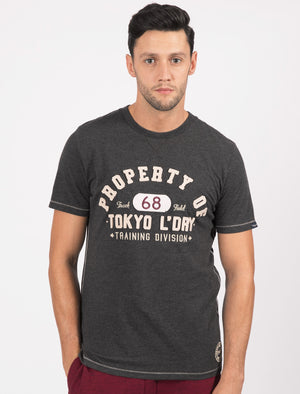 Louisburg Applique Cotton T-Shirt In Charcoal Marl - Tokyo Laundry