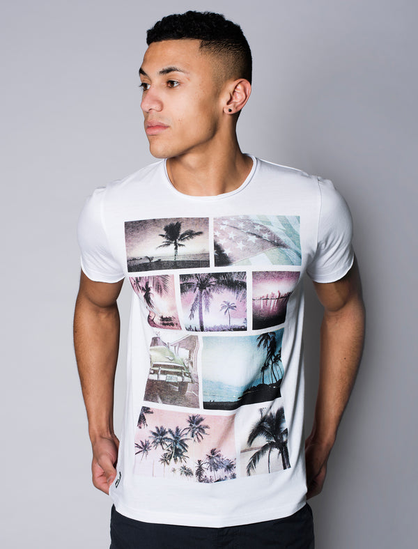 Faded Palm Tree  T-Shirt in White - Dissident