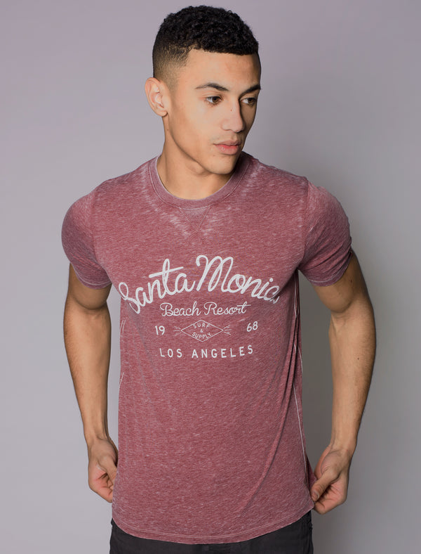 Franklin Bay T-Shirt in Oxblood - Tokyo Laundry