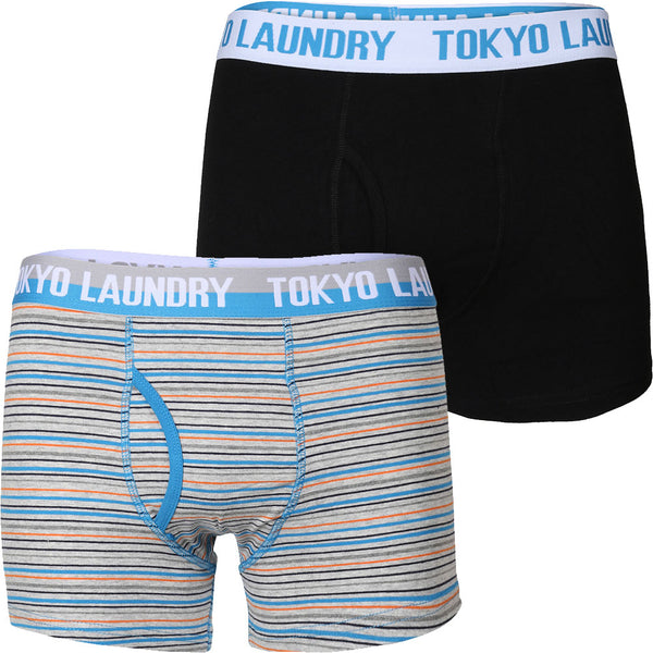 Darwin Boxer Shorts in Dark Navy / Light Grey Marl Stripes - Tokyo Laundry