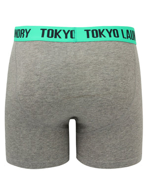 Irwin (2 Pack) Boxer Shorts Set in Harvest Pumpkin / Simply Green - Tokyo Laundry