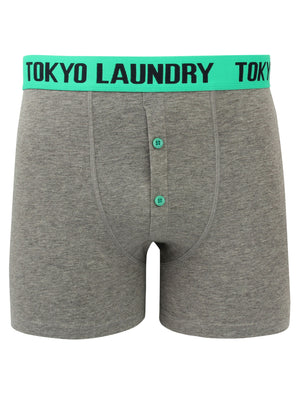 Irwin (2 Pack) Boxer Shorts Set in Harvest Pumpkin / Simply Green - Tokyo Laundry