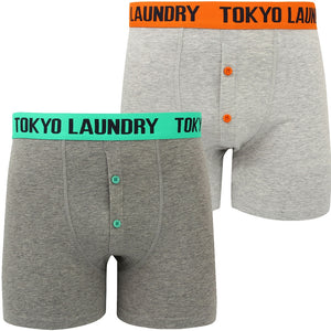 Irwin (2 Pack) Boxer Shorts Set in Harvest Pumpkin / Simply Green - Tokyo Laundry