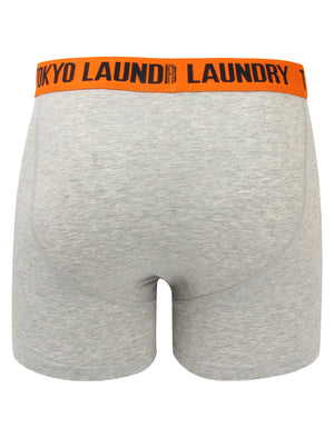 Irwin (2 Pack) Boxer Shorts Set in Harvest Pumpkin / Simply Green - Tokyo Laundry