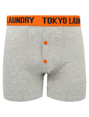 Irwin (2 Pack) Boxer Shorts Set in Harvest Pumpkin / Simply Green - Tokyo Laundry