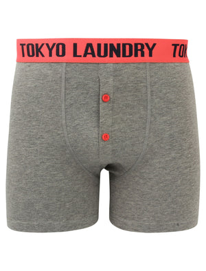 Irwin (2 Pack) Boxer Shorts Set in Dewberry / Paradise Pink - Tokyo Laundry