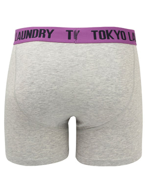 Irwin (2 Pack) Boxer Shorts Set in Dewberry / Paradise Pink - Tokyo Laundry