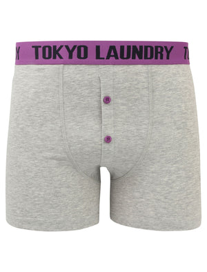 Irwin (2 Pack) Boxer Shorts Set in Dewberry / Paradise Pink - Tokyo Laundry