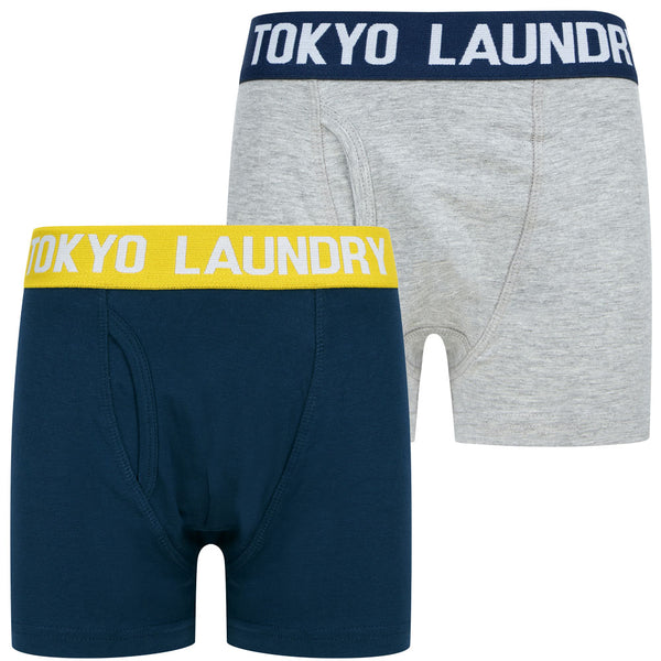 Boys Levens (2 Pack) Boxer Shorts Set in Mood Indigo / Light Grey Marl - Tokyo Laundry Kids