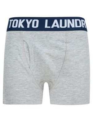 Boys Levens (2 Pack) Boxer Shorts Set in Mood Indigo / Light Grey Marl - Tokyo Laundry Kids