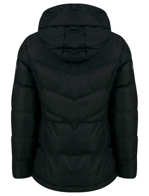 Royal Quilted Hooded Puffer Coat in Black - Tokyo Laundry