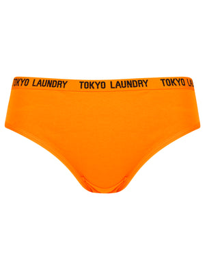 Trudy (5 Pack) Cotton Assorted Briefs in Amberglow / Infinity / Dress Blue / Light Grey Marl / Mid Grey Marl - Tokyo Laundry