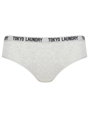 Trudy (5 Pack) Cotton Assorted Briefs in Amberglow / Infinity / Dress Blue / Light Grey Marl / Mid Grey Marl - Tokyo Laundry