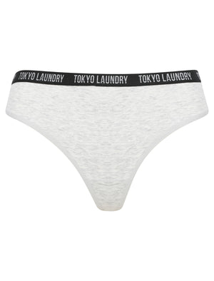 Sochia (5 Pack) Cotton Assorted Thongs in Jet Black / Beaujolais / Amberglow / Light Grey Marl - Tokyo Laundry