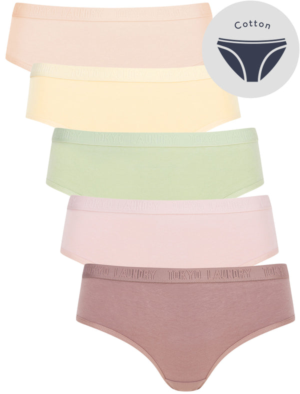 Noa 2 (5 Pack) Cotton Assorted Briefs in Twilight Mauve / Violet Ice / Desert Sage / Lambs Wool / Mahogany Rose - Tokyo Laundry