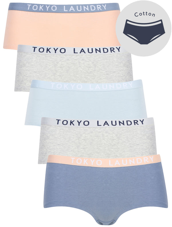 Dot (5 Pack) Assorted Hipster Briefs in Flint Stone / Light Grey Marl / Celestial Blue / Evening Sand - Tokyo Laundry