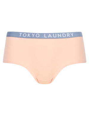 Dot (5 Pack) Assorted Hipster Briefs in Flint Stone / Light Grey Marl / Celestial Blue / Evening Sand - Tokyo Laundry