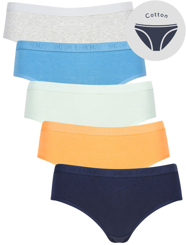 Noa 3 (5 Pack) Cotton Assorted Briefs in Black Iris / Muskmelon / Celadon / Niagara / Light Grey Marl - Tokyo Laundry
