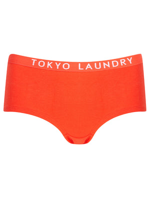 Dot 2 (5 Pack) Assorted Hipster Briefs in Fuchsia Purple / Poppy Red / Jet Black - Tokyo Laundry
