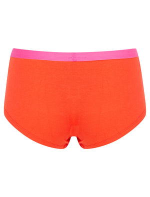Dot 2 (5 Pack) Assorted Hipster Briefs in Fuchsia Purple / Poppy Red / Jet Black - Tokyo Laundry