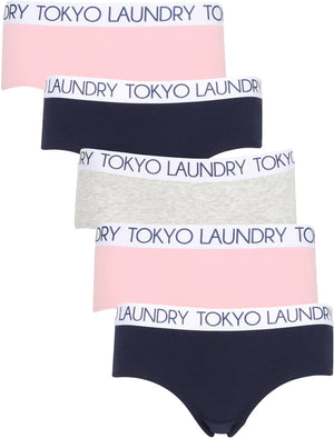 Rosie (5 Pack) Assorted Briefs In Pink Nectar / Peacoat Blue / Light Grey Marl - Tokyo Laundry