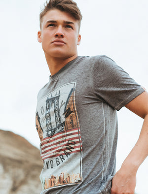 Auburn Point Burnout T-Shirt in Pewter Grey - Tokyo Laundry