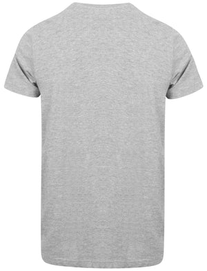 Bro Brooklyn Graphic Motif Cotton T-Shirt In Light Grey Marl - Dissident