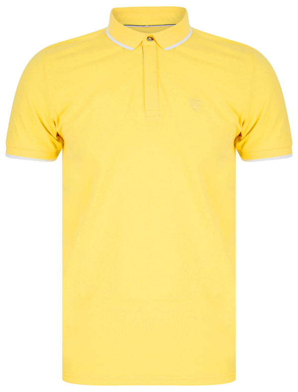 Pelier Cotton Pique Polo Shirt with Tipping in Lemon Drop - Kensington Eastside