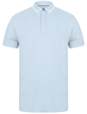 Stable Cotton Pique Polo Shirt with Tipping in Skyway - Kensington Eastside