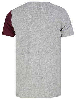 Edgar Cut & Sew Cotton Jersey T-Shirt in Light Grey Marl - Le Shark
