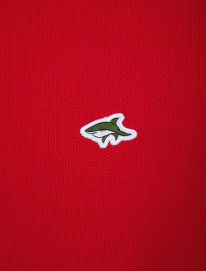 Felix Cotton Pique T-Shirt with Tipping in Barados Cherry - Le Shark