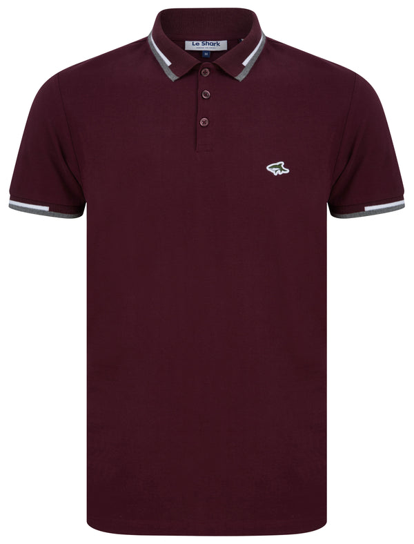 Louis Cotton Pique Polo Shirt in Winetasting - Le Shark