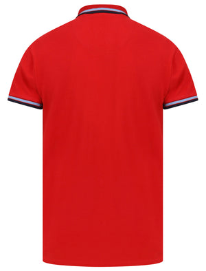 Waterloo Cotton Pique Polo Shirt with Tipping In Scarlet Sage - Le Shark