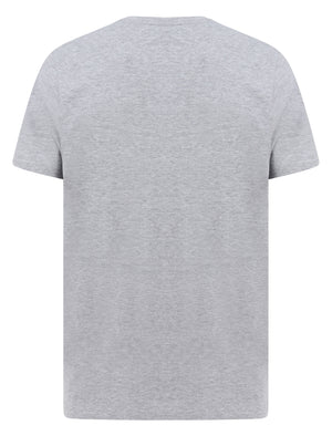 Eagle Calif Motif Cotton Jersey T-Shirt in Light Grey Marl - South Shore
