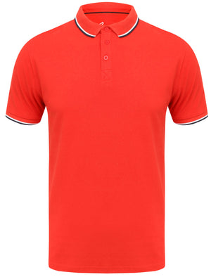 Rocky Bay Classic Cotton Pique Polo Shirt with Tipping In Red - South Shore